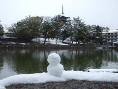 大雪なのであえて奈良公園に行ってみました