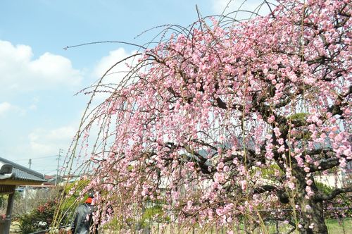 北九州　野外　露出 北九州弁で綴る、小倉日記リターンズ☆デジイチ講座＠総合農事センター』小倉・北九州市中心部(福岡県)の旅行記・ブログ by ありママさん【フォートラベル】