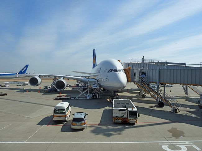 【海外28】2011.2モナコ・リビエラ・マルタ一人旅1-飛行機待ち時間の成田，A380でフランクフルトへ