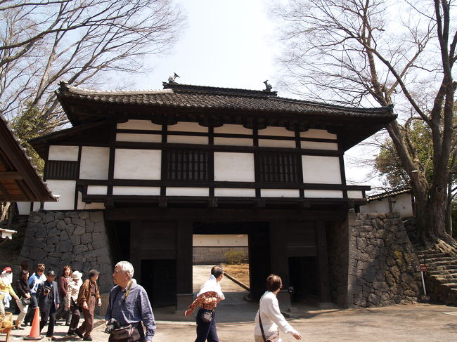 前回、小諸城址懐古園にある徴古館にいたら、40人くらいの団体客がやって来て、私に尋ねる。「ここの城主はどなただったのですか?」歴代城主の系図を見ると笠間藩分家の牧野家とある。「牧野家で明治維新にあった戊辰戦争で官軍と戦った長岡藩の孫の藩にあたります。」と答えた。何やら少し変だ。どうやら徴古館の中に日本人は私一人のようだ。それで日本語が達者な在日の人が私に聞いたのだ。 豊臣秀吉の家臣であった仙石秀久が小田原の役で功績を挙げ、天正18年(1590年)に信濃国小諸に5万石で入城した。慶長19年(1614年)、秀久が死去した後は子の忠政が後を継いだが、元和8年(1622年)に信州上田藩への移封となり、小諸藩は一時、廃藩となった。その後、松平憲良、廃藩、青山宗俊、酒井忠能、西尾忠成、松平乗政とその子・松平乗紀と1代か2代での移封が続いたが、元禄15年(1702年)に越後国与板藩より牧野康重が1万5000石で入ることで、ようやく藩主家が安定し、廃藩置県まで藩主を務めた。 初代・牧野康重と9代・牧野康哉は笠間藩主の子であるが、長岡藩牧野家の分家であり、長岡藩の孫の藩というのは間違いであった。牧野家本家の長岡藩は始め6万2,000石で、後に加増されて7万4,000石になった。一方、牧野家分家筋の笠間藩は8万石で表の石高が上であった。 藤村記念館には「千曲川旅情のうた」の原紙が展示されていたが、体裁を整えるために切り貼りしてある。署名までも切り貼りだったので島崎藤村はよほどの馬鹿なのだろうと思った。(表紙写真は小諸城址懐古園三の門)