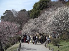 水戸　偕楽園