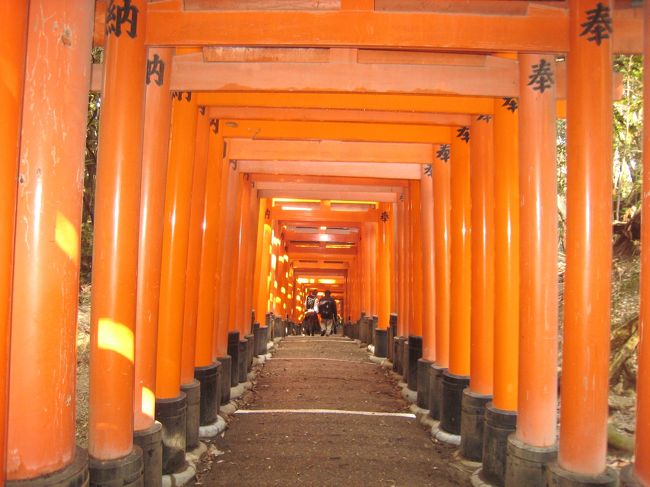 京都南部の<br />伏見稲荷と月桂冠の記念館に観光にきました。<br />