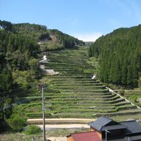 福岡のお茶処・・星野村！