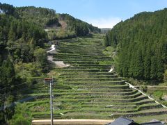 福岡のお茶処・・星野村！