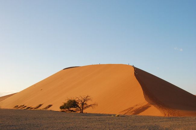 本屋でふと手に取った旅行雑誌の一枚の写真に心を奪われた。<br />アプリコット色をした砂漠の砂丘。名前は「Dune45」と書いてあった。<br />場所はアフリカ南部のナミビア。<br /><br />アフリカかあ…<br />個人旅行は難しいと思いこんでいたが、ネットで調べてみるとそうでもないようだ。<br />ついでに周辺も少し回ってみることに。<br /><br /><br />7日目。<br />早起きしてDune45の朝日を見に行く。一面に広がる砂漠と砂山に言葉を失う。<br />その後、ソススフレイへ。<br /><br /><br />1日目：東京→シンガポール→<br />2日目：→ヨハネスブルグ→ビクトリアフォールズ<br />3日目：チョベ国立公園<br />4日目：ビクトリアフォールズ→リビングストーン→<br />5日目：→ウィントフック<br />6日目：ウィントフック→ナミブ砂漠<br />★7日目：ナミブ砂漠・ソススフレイ<br />8日目：ナミブ砂漠→ウィントフック<br />9日目：ウィントフック→ケープタウン<br />10日目：ケープ半島観光<br />11日目：ケープタウン→<br />12日目：→シンガポール→東京