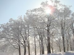 2011年2月　緑風リゾートひだ流葉