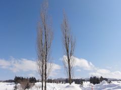 故人を偲んで雪見酒