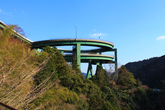 伊豆国、駿河国、遠江国の3国に分かれていた東西に広大な県。<br />静岡県のシンボル(富士山)(伊豆半島)(駿河湾)(御前崎)に基づき県旗もデザインされ、富士山観光から熱海・伊豆半島の温泉街、伊豆半島から沼津・焼津までの漁港、浜名湖など太平洋と富士山等の山々に囲まれた自然豊かな観光名所が多くあります。<br />暖かくなり春を感じる季節になってきました。春といえば、「梅」もいいけど、やっぱり「桜」の季節ですね。今回は本州で最も早くお花見が出来る観光スポット「河津温泉郷」へ行ってまいりました。<br />「河津桜」は日本にある桜の一種で、。オオシマザクラとカンヒザクラ の自然交雑種であると推定されています。また1月下旬から2月にかけて開花する早咲き桜で、花は桃色ないし淡紅色で、ソメイヨシノよりも桃色が濃く、開花期間も1ヶ月と長いという特徴があります。<br />また河津温泉郷周辺の観光名所である「河津七滝」や「峰温泉噴湯公園」「来宮神社」などぐるりと巡って来ました。春の伊豆半島は関東圏でも早い春を感じられますね！<br /><br />□■□■□■□■□■□■□■□■□■□■□■□■□■□■□■<br /><br />ふじのくに静岡ぐるり旅、今回は本州一の早咲き桜である河津桜のお花見をしに河津温泉郷へ行って来ました。<br />「河津桜」と呼ばれる由来は飯田勝美が静岡県賀茂郡河津町田中で原木を偶然発見し、当初は発見者の飯田勝美の屋号から「小峰桜」と呼ばれていましたが、新種であることが判明し、発見された場所が「河津町」であった事から「河津桜」と呼ばれるようになったそうです。<br />河津桜発祥のきっかけである「原木」は現在も存在しています。また河津観光交流館の目の前には河津桜の名木「かじやの桜」があり満開でした。名前の由来となった河津町では1981年より毎年2月10日前後から3月10日前後の約1ヶ月間の間、「河津桜まつり」が開催されおり、30年の歴史を持つお祭りです。残念ながらこの日の前日までがお祭りだっためライトアップされた河津桜を見る事は出来ませんでしたが、今年は寒かったためか例年より開花期間が長かったようですね。<br />河津七滝温泉は天城山の麓にある河津町の河津川上流の渓谷に佇む静かな温泉街で河津では滝のことを「水が垂れる」 という意味で垂水（たるみ）と呼んでいたため 「 ななたき 」ではなく「 ななだる 」と 呼んでいるそうです。川端康成著「伊豆の踊り子」の舞台でも有名で、七つの雄大で個性溢れる滝の他に河津七滝ループ橋や自然豊かな風景を楽しむ事が出来ます。<br /><br />□■□■□■□■□■□■□■□■□■□■□■□■□■□■□■<br /><br />＜河津七滝観光協会＞<br />http://www.nanadaru.com/index.html<br /><br />□■□■□■□■□■□■□■□■□■□■□■□■□■□■□■<br /><br />＜ふじのくに静岡ぐるり旅＞<br />【1】本州一の早咲き桜　河津桜2011　かじやの桜・原木<br />http://4travel.jp/traveler/dekadora/album/10552517/<br />【2】本州一の早咲き桜　河津桜2011　河津川沿い<br />http://4travel.jp/traveler/dekadora/album/10552603/<br />【3】杉桙別命神社の大クス <br />http://4travel.jp/traveler/dekadora/album/10552683/<br />【4】河津七滝<br />http://4travel.jp/traveler/dekadora/album/10552684/<br />【5】老舗旅館玉峰館と峰温泉大噴湯公園<br />http://4travel.jp/traveler/dekadora/album/10552687<br />【6】三嶋大社<br />http://4travel.jp/traveler/dekadora/album/10636822/<br />【7】楽寿園<br />http://4travel.jp/traveler/dekadora/album/10637264/<br />【8】白滝公園＆三島グルメ鰻「高田屋」<br />http://4travel.jp/traveler/dekadora/album/10637289/<br />【9】平成名水100選「源兵衛川」<br />http://4travel.jp/traveler/dekadora/album/10637293/<br />【10】日本名水100選「柿田川湧水群」<br />http://4travel.jp/traveler/dekadora/album/10637296/<br />【11】旧沼津御用邸<br />http://4travel.jp/traveler/dekadora/album/10637590/<br />【12】大型展望水門「びゅうお」<br />http://4travel.jp/traveler/dekadora/album/10637601/<br />【13】沼津漁港＆港八十三番地<br />http://4travel.jp/traveler/dekadora/album/10637616/<br />【14】HOTEL MIWA<br />http://4travel.jp/traveler/dekadora/album/10637625/<br />【15】日本平ロープウェイ<br />http://4travel.jp/traveler/dekadora/album/10637635/<br />【16】久能山東照宮<br />http://4travel.jp/traveler/dekadora/album/10637667/<br />【17】日本平動物園①<br />http://4travel.jp/traveler/dekadora/album/10637674/<br />【18】日本平動物園②<br />http://4travel.jp/traveler/dekadora/album/10637705/<br />【19】エスパルスドリームプラザ<br />http://4travel.jp/traveler/dekadora/album/10637744/<br />【20】ちびまる子ちゃんランド<br />http://4travel.jp/traveler/dekadora/album/10637754/<br />【21】清水すしミュージアム<br />http://4travel.jp/traveler/dekadora/album/10637768/<br />【22】時之栖ILLUMINATION2011-2012 WINTER <br />http://4travel.jp/traveler/dekadora/album/10639084 