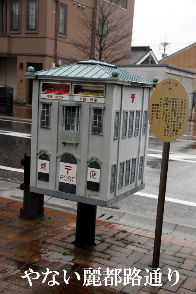 ※東北地方太平洋沖地震・・・　<br /><br />　まだまだ懸命な救助活動が続けられておりますが、何はともあれ行方不明の方々がご無事であることを祈るばかりです。<br />　難義されている皆さまのご心労、ご心痛を推察すると、胸がはりさける思いです。<br />　被災された方々およびご親族・関係者の皆々様に心よりお見舞い申し上げます。<br />　また、不幸にも災害に会われて亡くなられた方へのご冥福をお祈りいたします。<br /><br />■古市・金屋地区＆麗都路通り<br /><br />　いままで何度も訪れている柳井、余田臥龍梅観賞のあとまたまた白壁通りを歩いてきました。<br />　白壁の町並みでは、3月15日(日曜日)まで、商店など約20軒で江戸時代から現代までのひな飾りを展示する「商都柳井ひなめぐり」を開催中です。 <br /><br />・白壁の町並み<br />　柳井市、古市・金屋地区は、約２００ｍの町筋に、江戸時代の商家が立ち並び「白壁の町並み」と言われています。<br />　中世の町割がそのまま残り、妻入形式、本瓦葺、入母屋型の屋根、<br />白漆喰・土蔵作りの商家の家並が続きます。<br /><br />・麗都路（レトロ）通り<br />　柳井駅前から伝統的建造物群保存地区に向かってまっすぐに延びる170mほどの通りが、通称「麗都路通り」と呼ばれています。<br />　大正から昭和初期をテーマにした、レンガを敷き詰めた両脇の歩道には、イーゼルに架けられたかつての古い建物を描いた絵が展示されています。<br /><br />