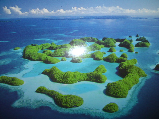 Palau Pacific Resort　パラオパシフィックリゾート<br />世界屈指のダイビングスポット「パラオ」。パラオ旅行なら、5つ星リゾートホテル、 パラオパシフィックリゾートへ！プライベートビーチ、プール、テニスコート、 スタイリッシュなホテル客室など贅沢なリゾート施設がそろっていますので、ダイビングの他 ...<br />http://www.palauppr.com/default-ja.html<br /><br />パラオ政府観光局のサイト。概要、歴史・文化、アクセス、観光、レストラン、ショッピング、アクティビティー。<br />http://www.palau.or.jp/<br /><br />●Palau Pacific Resort　宿泊費<br />　ガーデンビュー　　1泊　約23,000円?<br />　オーシャンビュー　1泊　約28,000円?<br />○Palau Pacific Resort　ツアー（５日間）<br />　オーシャンビュー　約140,000円?<br />　オーシャンフロント約150,000円?<br />　アイランズコレクション（STW）、コンチネンタルホリディ<br />　※参考データ2011/6/1<br /><br />※一旦非公開にしていた為、サーバー不具合により、<br />一部写真の上下が見辛い状況です。<br />今後直していきます。