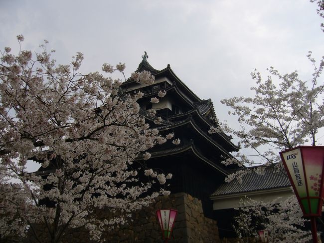 松江城へ行ってきました。<br />ちょうど桜の頃<br />きれいに咲いてました。