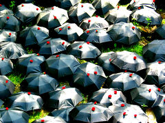 Temps de Flors (花の祭典）2004 - Girona 　