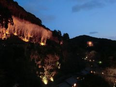 京都二日目☆清水寺の夜の特別拝観へ。