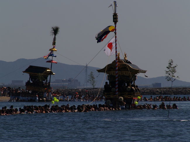 　三谷祭（みやまつり）は愛知県蒲郡市三谷町に鎮座する八劔神社と若宮神社の例大祭である。元禄時代から受け継がれ、300年の伝統がある。10月下旬の土日に行われている。4台の山車（やま）を海に曳き込む「海中渡御」が呼び物の祭りである。神輿を海中渡御する祭は、近在では鎌倉から湘南にかけて行われているが、山車の海中渡御は珍しく、それでも愛知県には他にもあるようだ。<br />　三谷の山車の特徴には山車柱がある。10m以上の高さがあり、海中渡御の姿で映える。また、車輪もコロと呼ばれる幅広の松材の輪切りが使用され、海中でも円滑に進むことが出来るようになっている。山車は大幕（化粧幕），高欄掛（水引幕），下幕（道中幕），内陣幕で飾られ、「道中用」「海中渡御用」「正装用」などと使い分けられる。<br />　三谷祭公式ホームページが開設されたのが今年の1月のことである。したがって、「三河の山車館」に三谷祭があるからこれを見てでかけた。堤防の階段に腰を下ろし、見学することにした。隣に小学生が座った。1人で見に来ているが、地元だそうだ。校長先生のお祖父さんが夢枕に現れて海中渡御を行うようになったと児童に話しているようだ。もし、そうだとすると明治か大正あたりのことになろうか。海中渡御は「古くから」行われていたが、「三谷港埋め立てにより昭和35年（1960年）から姿を消していたが、平成8年（1996年）に三谷祭300年を契機に復活した。」とある。Webで調べても海中渡御が何時頃から行われるようになったのかは分からなかった。<br />双眼鏡を持っていったのでこの子や周りにいた子供たちに貸した。迫力ある海中渡御が見られ、皆が驚いていた。愛知県の祭といっても東京近郊の大きな祭ほどの見物客が訪れ、混雑していた。三谷祭は天下の奇祭として、祭の多い愛知県でもとりわけ人気があることが実感できた。<br />（表紙写真は海中渡御）