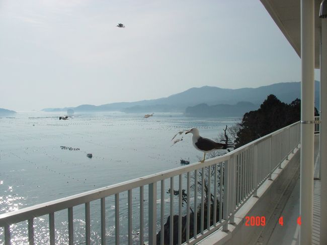 一昨年宿泊した南三陸町。東北関東大震災での津波被害が甚大で心が痛みます。ホテル観洋は高台にあり無事でしたが、宿泊客と非難客を無事に帰すまで、おかみさんやスタッフは大変な苦労でした。１日も早い復興を願ってやみません。河北新報記事　http://www.kahoku.co.jp/news/2011/03/20110317t73010.htm<br />