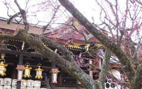 ●京都2011.3　3日目③北野天満宮と梅●