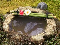 京都めぐり・2011春★京の冬の旅特別公開～妙心寺・海福院、麟祥院