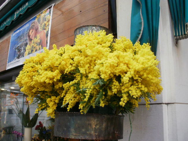 ３月８日はイタリアでは女性の日。<br />男性から女性に黄色いミモザの花束が贈られ<br />女性が大切にされる素敵な日なんです。<br />この日に謝肉祭（カーニヴァル）が重なるのは<br />十数年に１度あるかないか･･･<br />こんな希少な今年の３月８日にはイタリアに行かなきゃ！<br /><br />行き先はヴェネツィアに決定です。