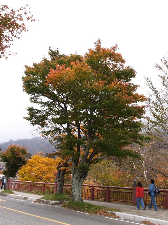 　日光のいろは坂を上ると中善寺湖がある。標高1269mにある中禅寺湖から落ちる落差98mの華厳滝や中善寺温泉があり、日光二荒山神社中宮祠やさらに足を伸ばすと金谷ホテルなどが点在する。中善寺湖湖畔を通る国道120号線は日本ロマンチック街道とも呼ばれ、木々の紅葉も美しい。特に、湖畔には欅や楓が植えられた並木になっており、黄色の紅葉のグラデーションが映える。<br />（表紙写真は湖畔の下が緑、上が黄色の欅）