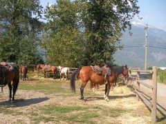 ☆ウィスラー☆旅行　～ウィスラーで乗馬体験～