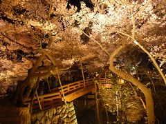 高遠城址公園の桜　1～善光寺参り、臥竜公園～