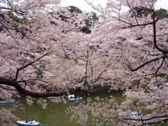 東京２０１０桜　【４】皇居　