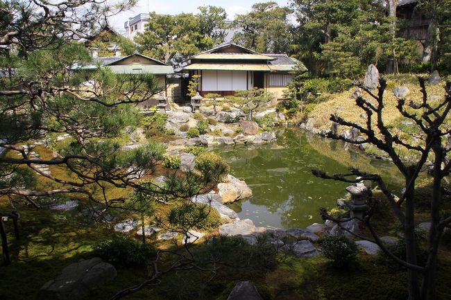 今回の京の冬の旅も終りを迎える頃、京都に出かけることができる機会があり、特別公開の寺院を訪れました。妙心寺の次に訪れたのは、京都の中心・祇園にまちなかにある建仁寺の塔頭である両足院です。<br /><br />東北地方太平洋沖地震の発生以降、特に関東方面からの観光客が激減したとのことでした。被害にあわれた方には心からお見舞いを申し上げます。幸い無事に生活で来ている私たちは、被災地に迷惑をかけず、そして過度の自粛をせず、ほんのわずかですが、精神面でも経済面でもできる限りの協力と支援をしていきたいと思います。<br />