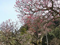 Solitary Journey ［884］ ささやかなひととき…＜ポカポカあったかい一日、梅の香りする岩国吉香公園＞山口県岩国市