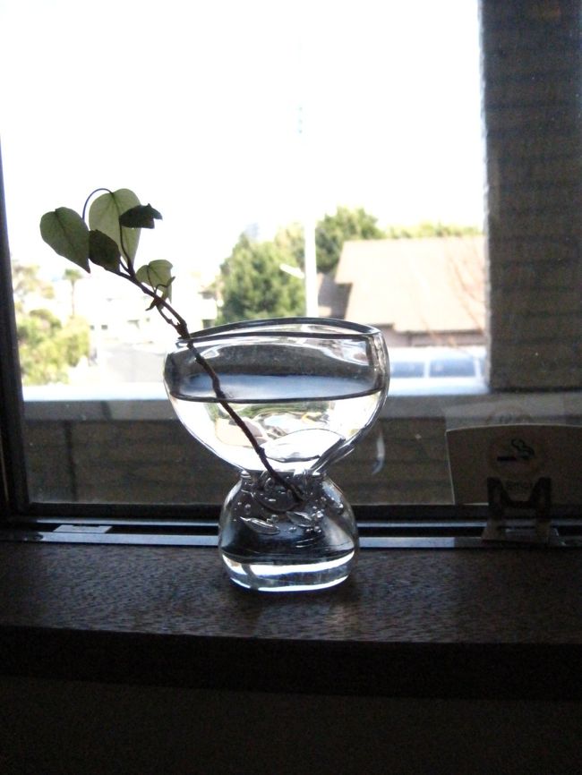お天気もいいので、お友達に頼まれていた満開の千倉の花畑の写真撮り。<br /><br />帰りは最近とっても気になる『Horne Cafe(オルネカフェ)』さんを訪れた。<br /><br />お店のホームページ http://www12.ocn.ne.jp/~horne/index.html<br /><br />なんだかいつまでも帰りたくなくなるのが不思議かな。<br /><br />やっぱり、まんまるのシンプルパンを食べて、『おいし〜い!』っとつぶやける。<br /><br /><br />南房総のカフェ旅は、南房総ツアーズhttp://m-boso.com/