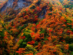 徳島山奥の紅葉達　～高の瀬峡～