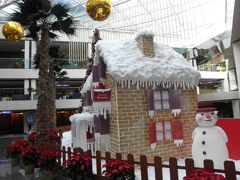 アラフィフ・バックパッカー夫婦の北インド（３０）番外編　Regal Airport Hotel で　X'mas