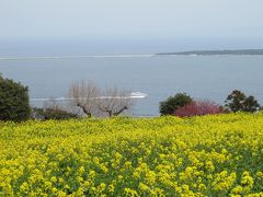 梅と菜の花の能古島