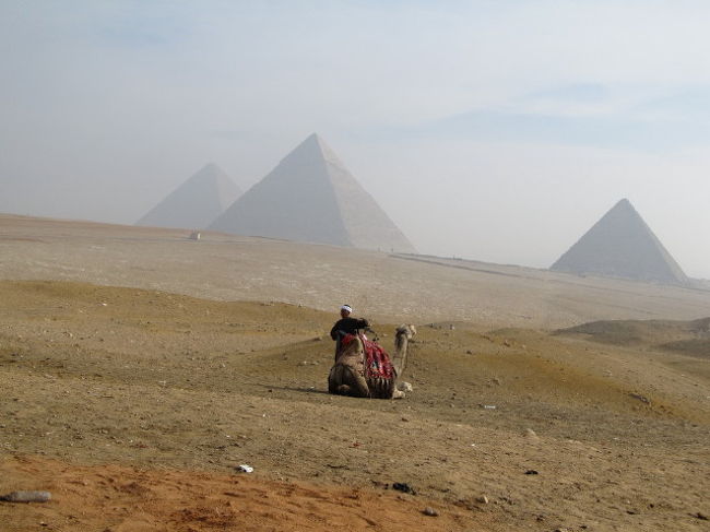 ごく普通のエジプト定番パックツアーに参加したつもりであったが、折悪しくチュニジアからエジプトに飛火した騒乱に遭遇してしまい、見方によっては？非常に貴重な経験をすることになった。;^^<br /><br />この旅行記では、(1)パッケージツアーを選ぶ際の参考　(2)今回のエジプト動乱に関する私見　の２点について書いてみたい。<br />各観光スポットの位置関係は以下のサイトが参考になります。<br />http://www.travelplatz.com/egypt/index.html<br /><br />ツアー名：”ＨＩＳ/5つ星の豪華ﾅｲﾙｸﾙｰｽﾞ3泊　ｴｼﾞﾌﾟﾄ周遊8日間”<br />　<br />(1)当初の日程（７泊８日）<br />1月24日(成田)〜 ｶｲ ﾛ 〜(寝台列車ﾅｲﾙｴｸｽﾌﾟﾚｽ)ｱｽﾜﾝ 〜 ｱﾌﾞｼﾝﾍﾞﾙ 〜 ｱｽﾜﾝ 〜 (ﾅｲﾙｸﾙｰｽﾞ3泊) 〜 ﾙｸｿｰﾙ 〜 ｶｲﾛ 〜 1月31日(成田)<br /><br />(2)実際の日程(11泊12日：騒乱により５日間の足止）<br />1月24日(成田) 〜 29日(ﾅｲﾙｸﾙｰｽﾞ3泊) の終了までは当初の日程を消化したが、(1/29) ﾙｸｿｰﾙ 〜 ｶｲﾛ への空路移動が暴動のため不可！、ﾙｸｿｰﾙで5日間の足止めとなり、2月4日のｶﾀｰﾙ航空で ﾄﾞｰﾊ(ｶﾀｰﾙ) 〜 関空 〜 成田着（２月５日）と無事帰国することができた。