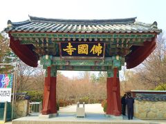“迷った末！。。。コッソリと　桜咲く世界遺産の街、釜山慶州の旅のはずが。。。”Ｐａｒｔ１