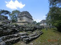 メキシコ遺跡巡り一人旅⑤ヤシュチラン＆ボナンパック遺跡
