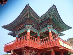 “迷った末！。。。コッソリと　桜咲く世界遺産の街、釜山慶州の旅のはずが。。。”Ｐａｒｔ２