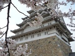 春・兵庫県　～姫路城・神戸王子動物園～