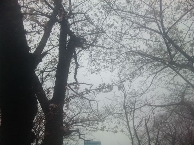 その2・・・https://ssl.4travel.jp/tcs/t/editalbum/edit/10551948/<br />その3・・・(ここ)<br />その4・・・http://4travel.jp/traveler/ripesyaka/album/10590215/<br /><br /><br /><br /><br />お花見に行ってました。<br />今日は写真、すごーく少ないです。なぜなら、ずっと飲んでたから(笑)<br />いやね、シラフのうちに旅行記のための写真を撮るつもりだったんすよ。ウイスキーとビールって同時に飲むモンじゃないですよ、ホント(汗<br />今の大阪城公園の桜は、場所によってはつぼみですが、見ごろを迎えていると思います。<br />場所取り、食べ物飲み物を用意してくださった方、お疲れ様でした!<br /><br />移動記録<br />10時7分発、新快速・近江今津/敦賀行で大阪駅へ。11時14分、着。<br />11時19分発、大阪環状線・外回りで森ノ宮駅へ。11時32分、着。<br /><br />・ハ イ パ ー お 花 見 タ イ ム<br /><br />19時34分発、大阪環状線・内回りで大阪駅へ。19時45分、着。<br /><br />・HEP5のサブウェイで夕食<br /><br />21時0分発、新快速・姫路/上郡行で姫路駅へ。22時1分、着。