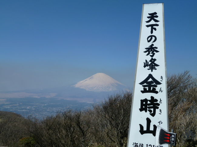 ２０１１年初めてのハイキングは、<br />金太郎で有名な箱根町・金時山です！<br /><br />その模様を綴ります。