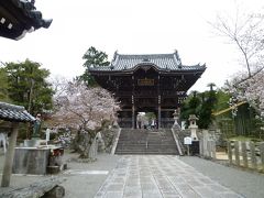 少し寒いお花見　粉河寺、根来寺、和歌山城