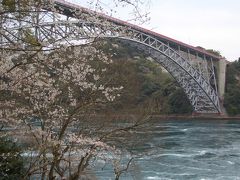 桜・西海橋　ドライブ