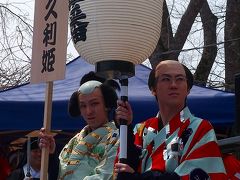 桜が全く咲いてない！三次桜祭り