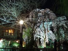 京都で夜桜