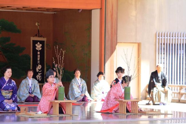 伊勢神宮へ参拝し、華道家元池坊「伊勢神宮献花祭」が執り行われ拝見してきました。<br /><br />震災の関係で、全国で予定されていた華展も一部は中止される様で、今年の特別な献花祭となったのではと、私の眼には映りました。<br />華展の会場には「復興と希望の祈りを花にこめて」とのメッセージも添えられておりました。<br /><br />平日ですが、いつ参拝させていただいても、駐車場確保が遠くなるので、早朝出発として午前8時前には到着しました。<br />清々しい朝の空気に背筋を伸ばし参拝させていただきました。<br />参拝・献花祭拝見・お決まりの甘味と堪能した時を心に刻む事ができました。<br /><br />拙い旅記ではありますが、「伊勢神宮献花祭」メッセージの意味を心に噛み締めつつ、いつの日か被災地の方の目に止まればとアップします。
