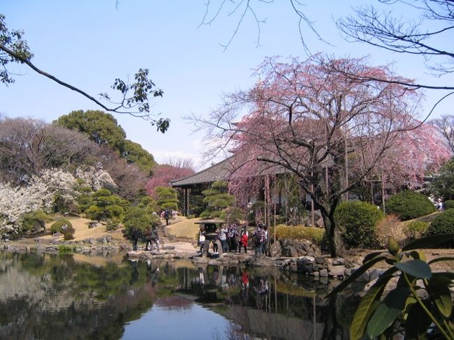 浅草寺に行ったところ、伝法院の庭園と大絵馬展が特別公開されていました。<br />桜もきれいで、東京らしくない、素敵な空間です。<br />ぜひ、行ってみてください。<br />ブログでアップしきれなかった、内部の写真をアップいたします。<br /><br />ブログにもアップしております。<br />よろしければ、ご覧ください。<br /><br />http://ameblo.jp/atelier-sai/entry-10848490615.html