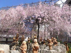2011 京都桜だより～　六角堂の羅漢さんも花見かな～