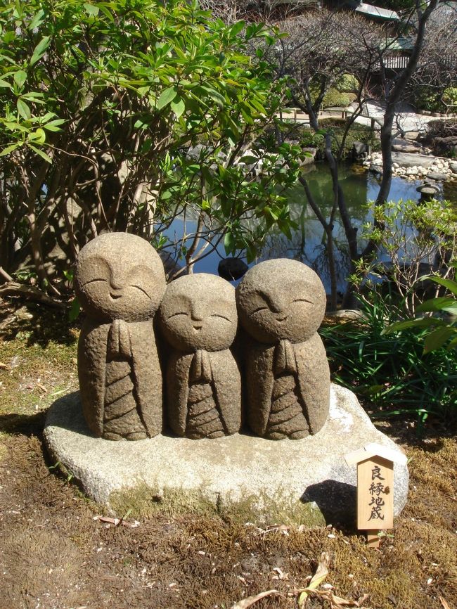 東日本大震災の直後の週末だったので、閑散としていました。<br />(計画停電の影響を受け、迂回ルートで電車を乗り継ぎようやく鎌倉到着。)<br />その代わり、人が少なくてゆっくり観光できました。<br />宿泊先は、鎌倉パークホテルで、目の前が海だったのでちょっと津波に警戒したりしてしまいました。<br />宿泊客が少なかったせい?で朝食は洋食を選べず、和食レストランになりました。味は、まあ普通。<br />洋食が美味しいと口コミがあったので残念でした。<br /><br />鎌倉周辺は、トンビが飛んでいて、観光客の食べ物を狙い襲ってくることに驚きました。長谷寺で写真を撮ってくれた女性が持っていた柿ピーをテーブルに置いた瞬間さらわれ、私も高徳院(大仏のあるお寺)でお菓子を食べていたら背後から飛んできて盗られました。幸いにも怪我など一切ありませんでしたが。彼らは常習犯ですね。。。<br />トンビさえいなければ、2か所ともお薦めスポットです。<br />長谷寺は植物が沢山植わっていて、1年を通してお庭の草木を眺めながらゆっくりお散歩すると良いと思いました。高徳院は鎌倉大仏を見て、大仏の中に入ることができます。珍しいので、1度は行く価値あります。昔、津波が来た際に、大仏の耳の辺りまで波が押し寄せたそうで、鎌倉周辺が海に向かって低い土地として広がっていることが実感できました。<br /><br />方向は少し違いますが、鎌倉八幡宮も行きました。鎌倉に行くと、必ず訪れる場所です。何年か前に自慢の桜が切り落とされてしまいましたが、それでも、鎌倉駅からまっすぐ走る道の先に見えるあのお寺と整備された道幅のおおきな道路は情緒があって好きです。<br /><br />残念ながら、お土産屋さんや喫茶店は観光地価格であまり楽しめませんでした。<br /><br />江ノ電はお薦めです。地元の人も乗るので少し混んでいましたが、海を眺めながら電車に揺られるのはなかなか気持ちがよかったです。<br /><br />今回は宿泊をして訪れましたが、東京に住む者としては日帰りで十分だと思いました。<br /><br />※表紙の写真は、長谷寺のお地蔵さんたち。癒されます。
