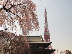 2011年4月　芝増上寺・東京タワー周辺
