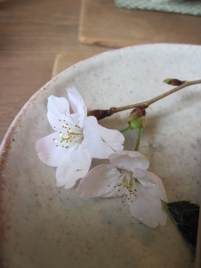 「箱根の日帰り温泉でさ、いいプランをみつけたよ。」<br />金曜の夜にわくわくしながらオットは言った。<br /><br />「どうせ安いのは平日でしょ。土日は高いでしょ。」<br />全然乗り気じゃない私は冷たくあしらった。<br /><br />オ「それが、土日でもランチ付きでふたりで一万円。」<br />私「どうせ休憩は大広間で雑魚寝でしょ。」<br />オ「それがさー、食事は仕切られた個室で、そこで休憩できるみたい。」<br />私「それでも気を使うからいやだなー。」<br /><br />なかなか気分の乗らない私と、我が家の財政難。<br />オットが越えようとする二つの壁は高い。<br /><br />オ「0泊2食付きで客室休憩、21時チェックアウト、ひとり9800円ってのは？」<br />かなり私の心が揺れ動く・・・<br />私「よっしゃ、それのった！！」<br /><br />オットが提案した予算案は、なんとかホヌ子を通過した。<br /><br />1万円近くなら宿泊すれば？と言われそうだが、それでも日帰りにこだわるにはワケがある。<br />そのワケとは・・・一番最後に。<br /><br /><br />