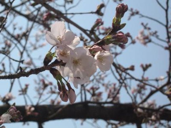 しばらく沈んだ心で過ごす毎日。。。<br />自分にできることを探す前にゆるりと懐かしい動物園に。<br />思えば幼い頃から度々訪れている東山。<br /><br />今回は子供たちとともに癒されてきました。<br />子供のパワーにはついていけずにヘロヘロに(笑)<br />でも、日常の小さな喜びに生きている幸せと感謝を感じ<br />目標を持って進むことを改めて想い、祈りました。<br /><br />☆東山動植物園☆<br />愛知県名古屋市千種区東山元町3－70<br />052－782－2111<br />9時～16時50分まで営業　月曜定休<br />(料金)500円　中学生まで無料<br />